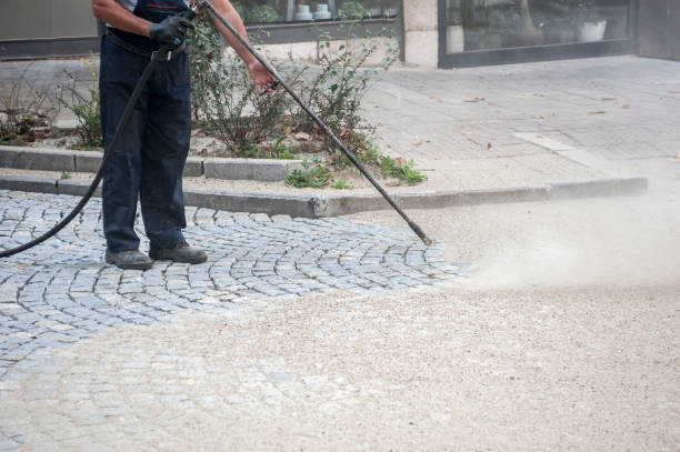 Best Soft Washing for Delicate Surfaces in Henning, TN